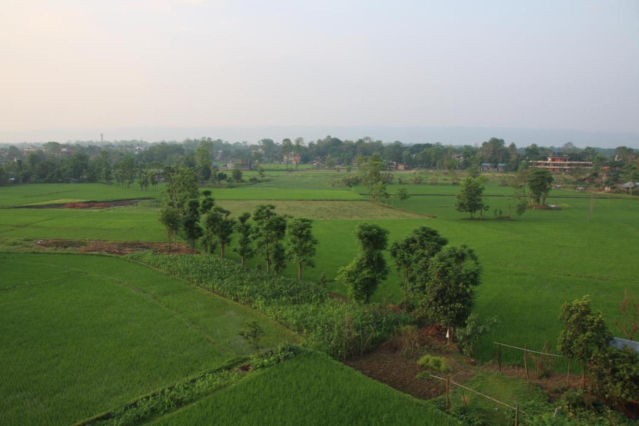 Sweet Home Chitwan Zewnętrze zdjęcie